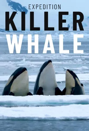 Expedition Killer Whale - Poster
