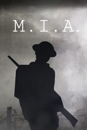 مفقود شده بی اثر - Poster
