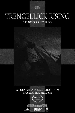 طلوع ترنگلک - Poster