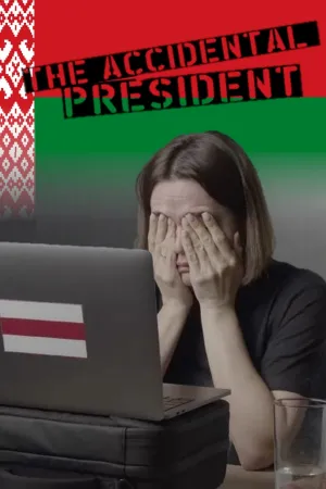 The Accidental President - Poster