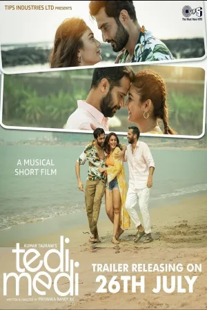 Tedi Medi - Poster