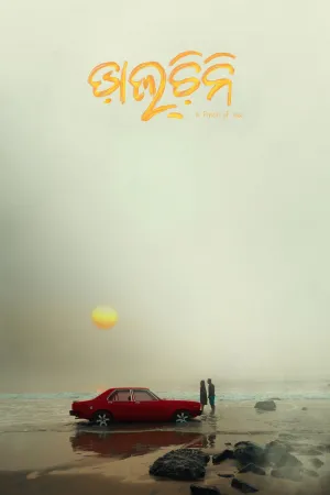 دالچینی - Poster