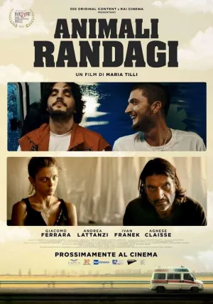 Animali randagi - Poster