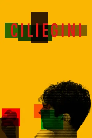 دانه های سیلیکینى - Poster