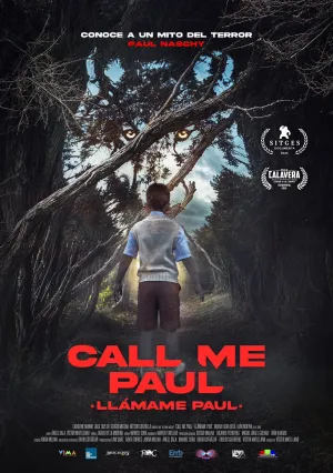 Call Me Paul - Poster