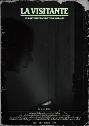 بازدیدکننده - Poster