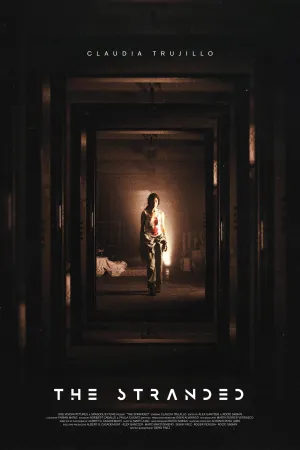 گمشدهٔ به دام افتاده - Poster
