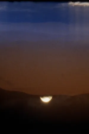 اولییا - Poster