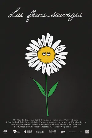 گل‌های وحشی - Poster