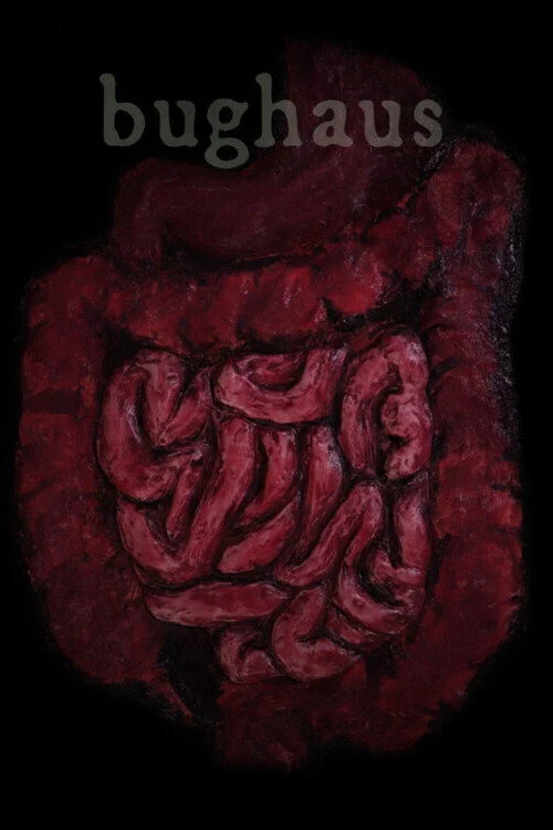 حشره خانه