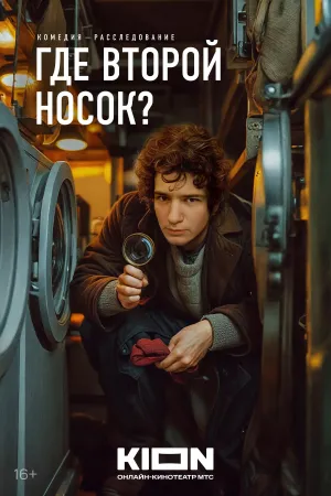 Where’s the Other Sock? - Poster