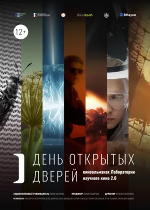 Open Day - Movie Poster