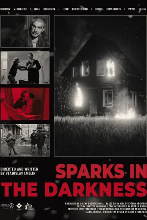 Sparks in the darkness - Poster