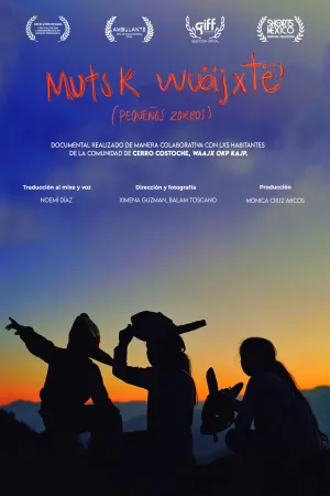 روباه کوچک - Poster