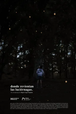 Where the fireflies burst - Poster