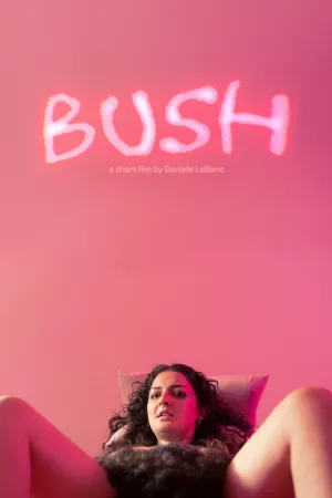 بوِش - Poster
