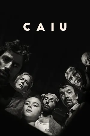 Caiu - Poster