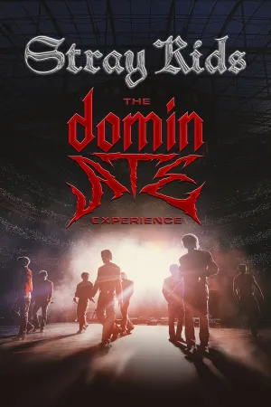 استری کیدز تجربه dominATE - Poster