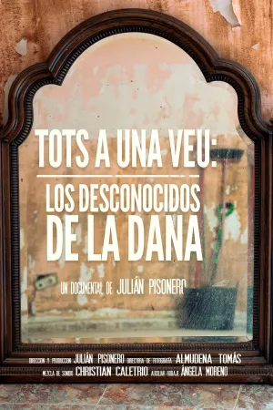 Tots a una veu: Los desconocidos de la DANA - Poster