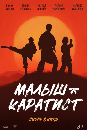 کودک کاراته کار - Poster