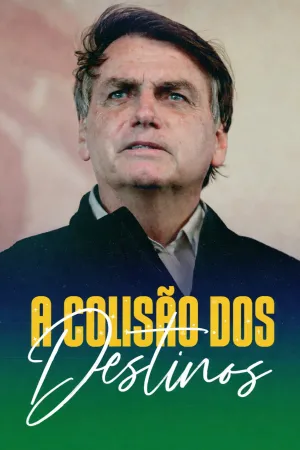 تصادف سرنوشت ها - poster