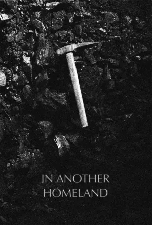 In Another Homeland - Poster