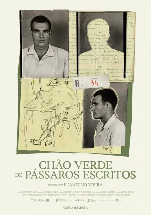 Chão Verde de Pássaros Escritos - Poster
