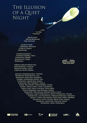 توهمِ شبی آرام - Movie Poster