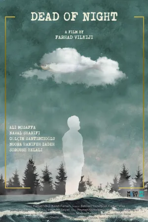 مرگ در شب - Poster