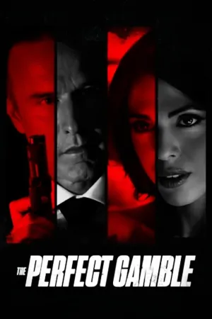 The Perfect Gamble - Poster