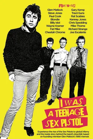من نوجوانی پینک پستول بودم - Poster