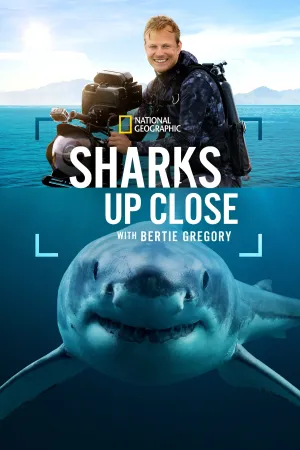 Sharks Up Close with Bertie Gregory - Poster
