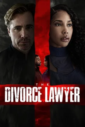 The Divorce Lawyer - Poster