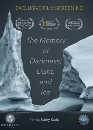 Memory of Darkness Light and Ice - Poster