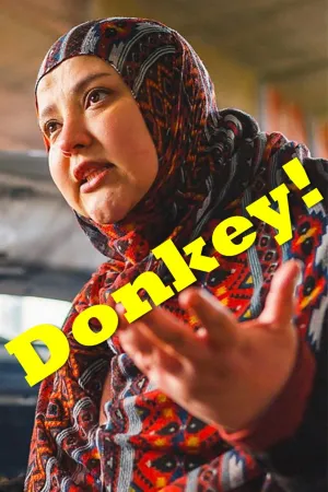 Donkey - Poster