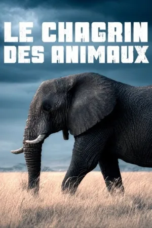 غم موجودات : اسطوره یا واقعیت؟ - Poster