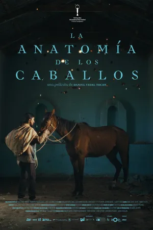 The Anatomy of the Horses - Poster