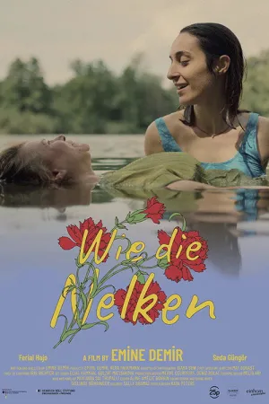 مانند گل همیشه بهارها - Poster