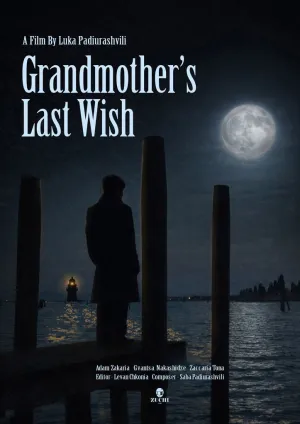 Grandmother's Last Wish - Poster