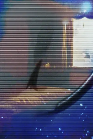 the house was there before me - Poster