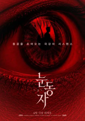 چشمان - Poster