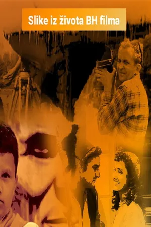 صحنه هایی از زندگی فیلم بی ایچ - Poster