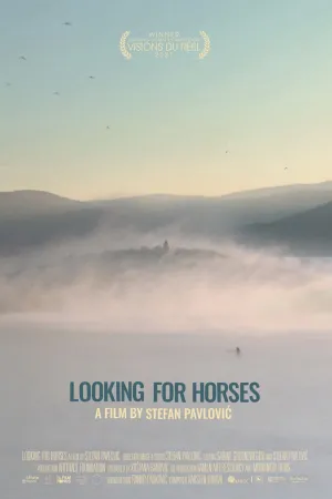 جست‌وجو برای اسب‌ها - Poster