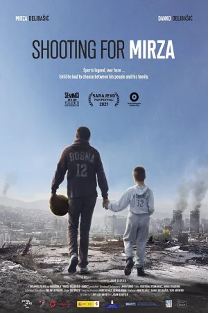 سعی برای میرزا - Poster