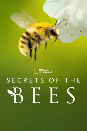 Secrets of the Bees - Series Poster