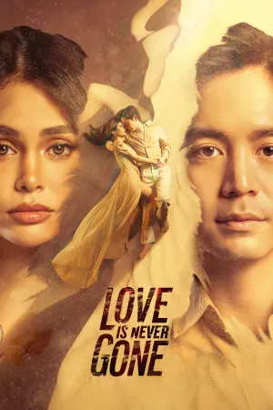 Love Is Never Gone - Poster