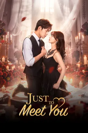 Just to Meet You - Poster