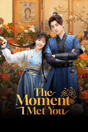 The Moment I Met You - Poster