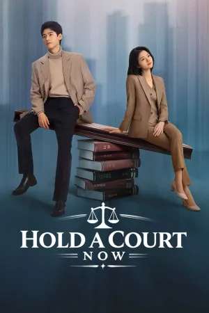 Hold A Court Now - Series Poster
