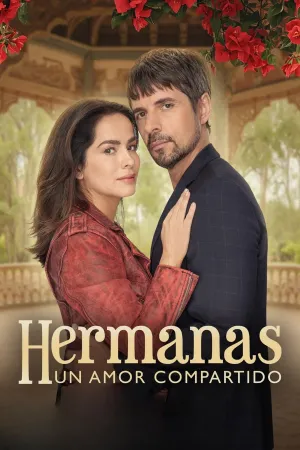 Hermanas, un amor compartido - Poster